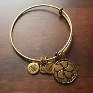 Alex and Ani Jewelry - Alex and Ani Friend Bracelet Alex and Ani Jewelry - Alex and Ani Friend Bracelet